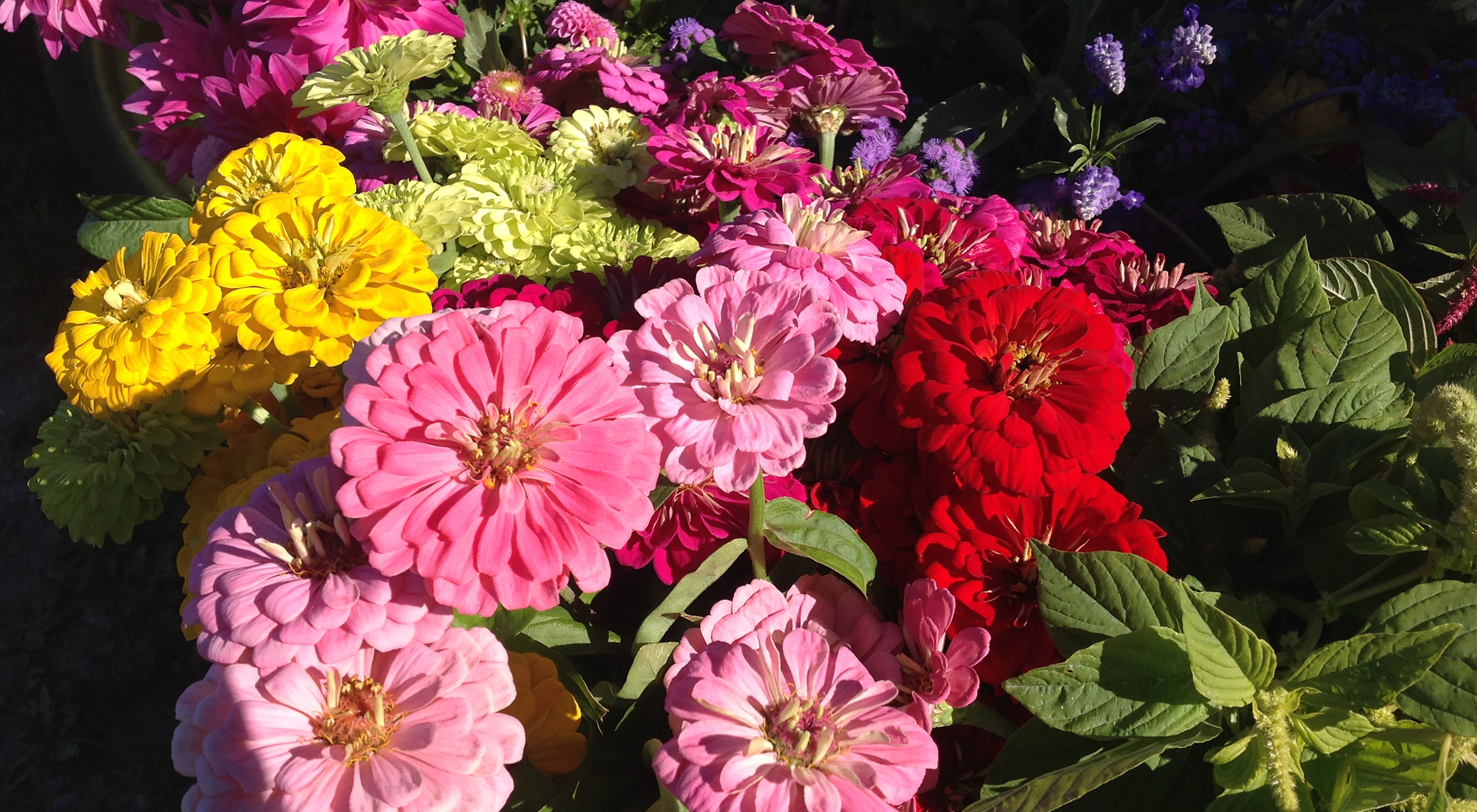 red flower arrangement with hearts in the background